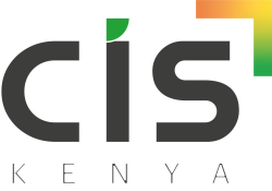 Computer information systems Kenya